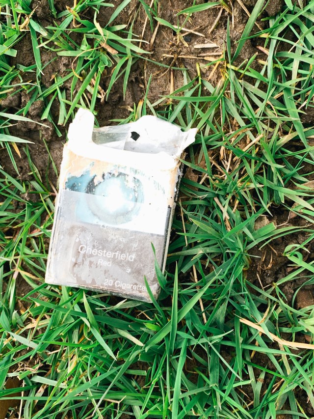 Created with RNI Films app. Preset 'Kodak Portra 160'