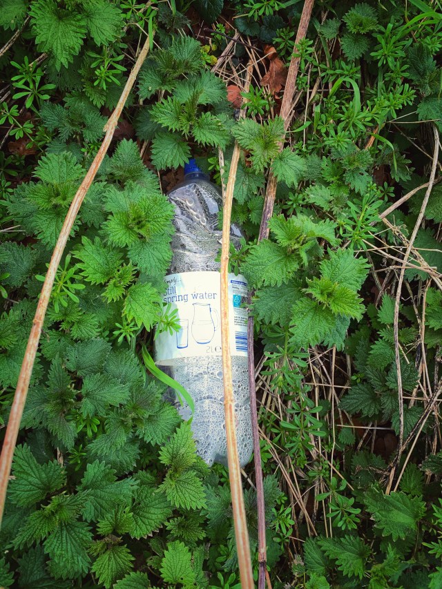 A5C41D15-F1BD-4B8C-9762-D0F5023E3000_1_201_a