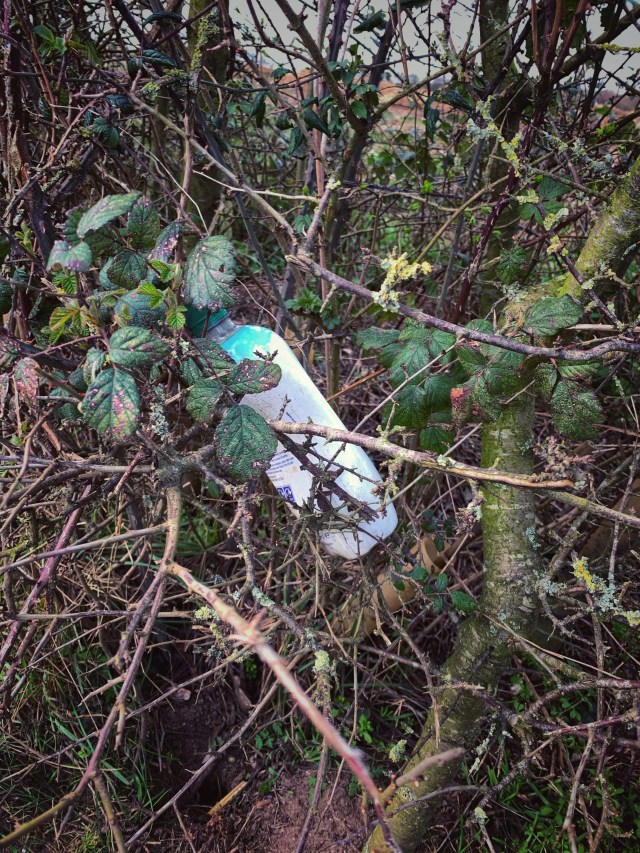 C673247F-6602-4ACB-B8F4-77E5E55D0360_1_201_a