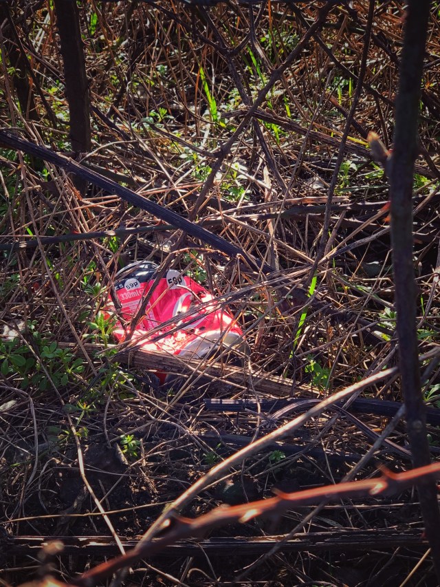 F1B7EE06-4B11-4B88-9541-C840ED10E594_1_201_a