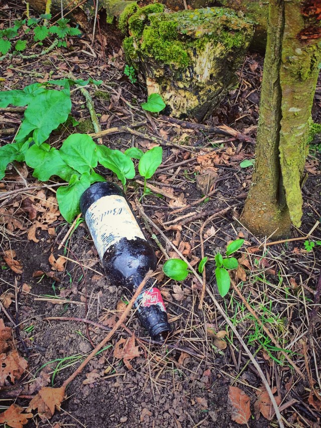 F89AD409-0CFF-4F52-8F17-00E2667C0BD5_1_201_a