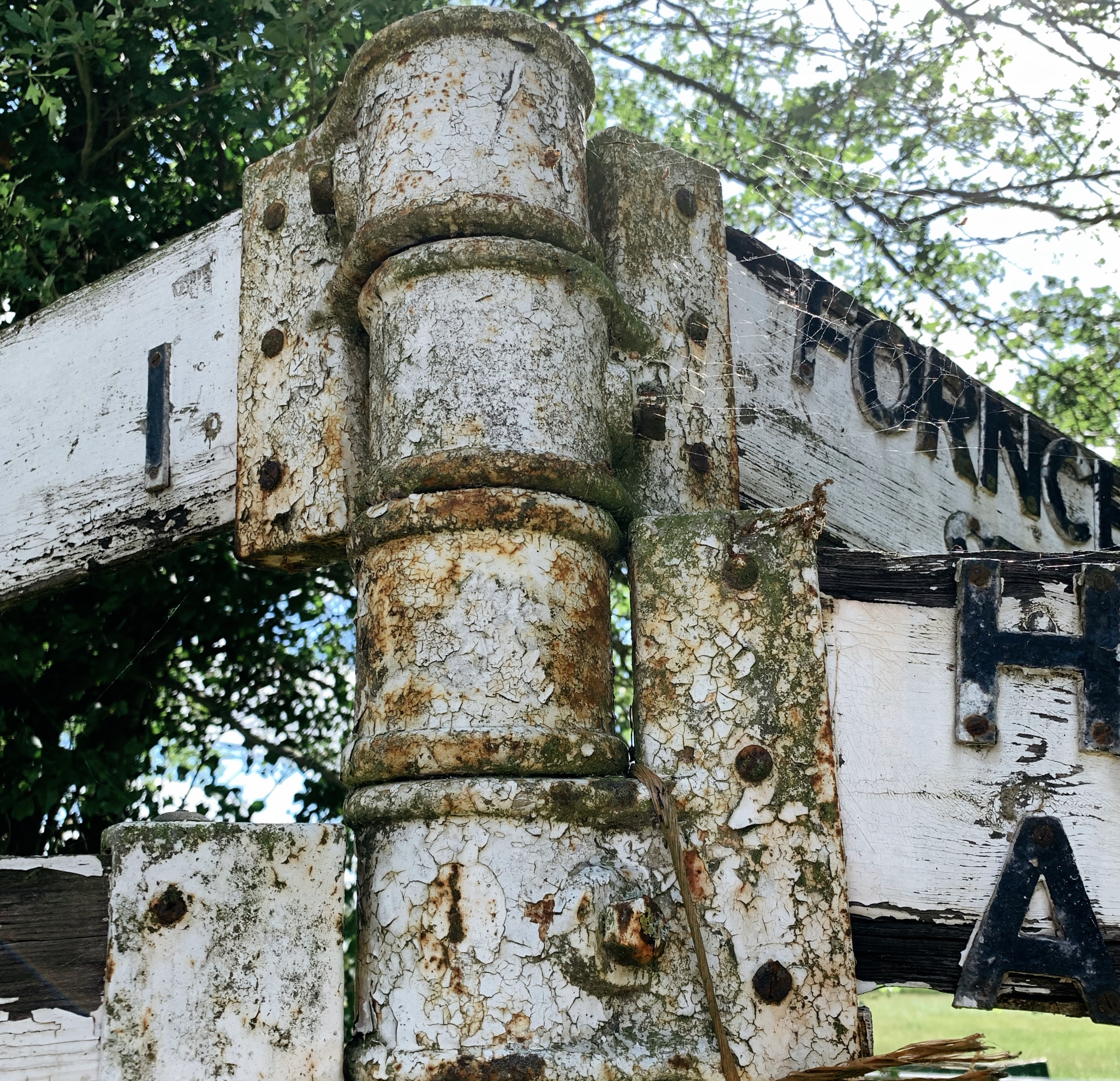 Created with RNI Films app. Preset 'Kodak Portra 160 v.2'