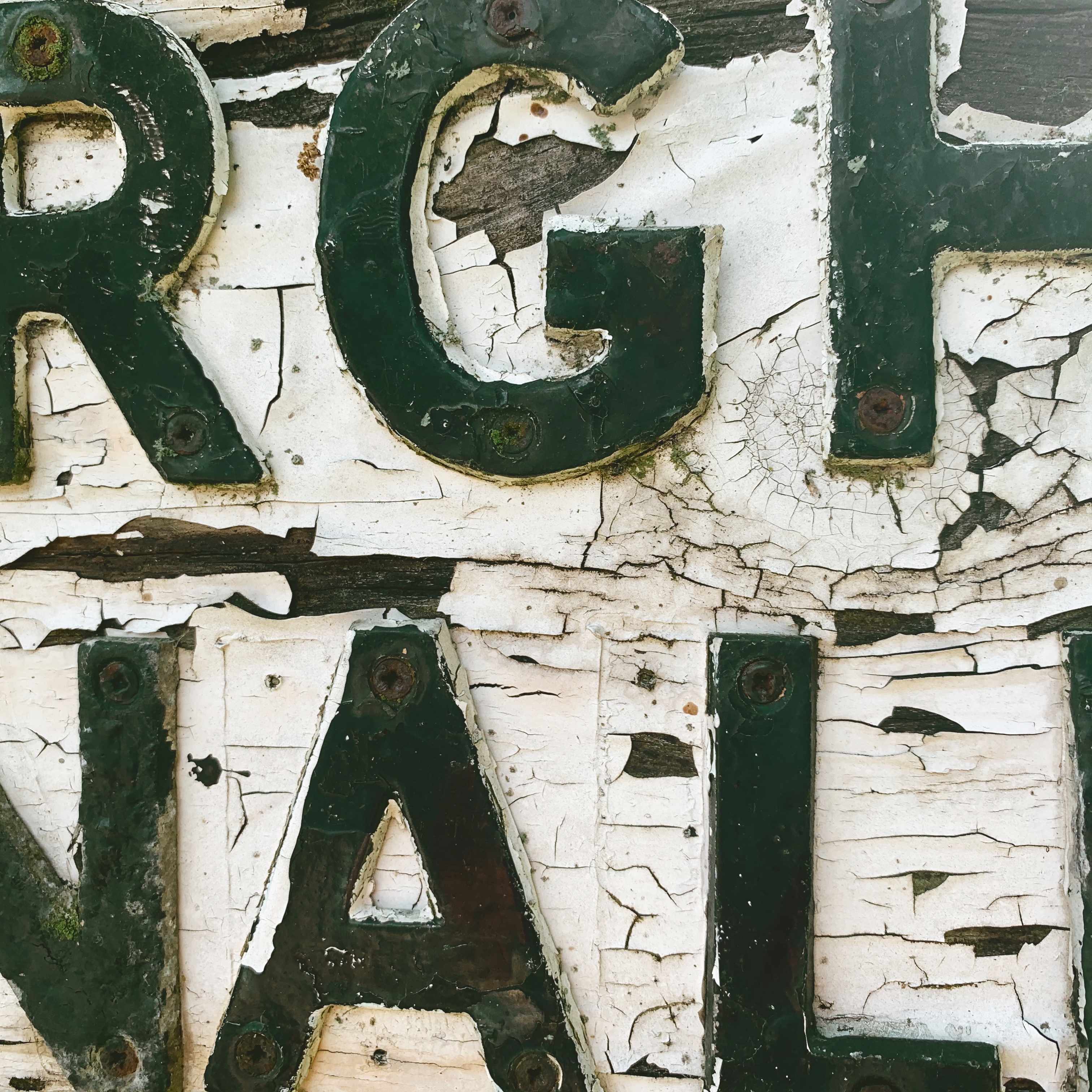 Created with RNI Films app. Preset 'Kodak Portra 160 v.2 Warm Fade'