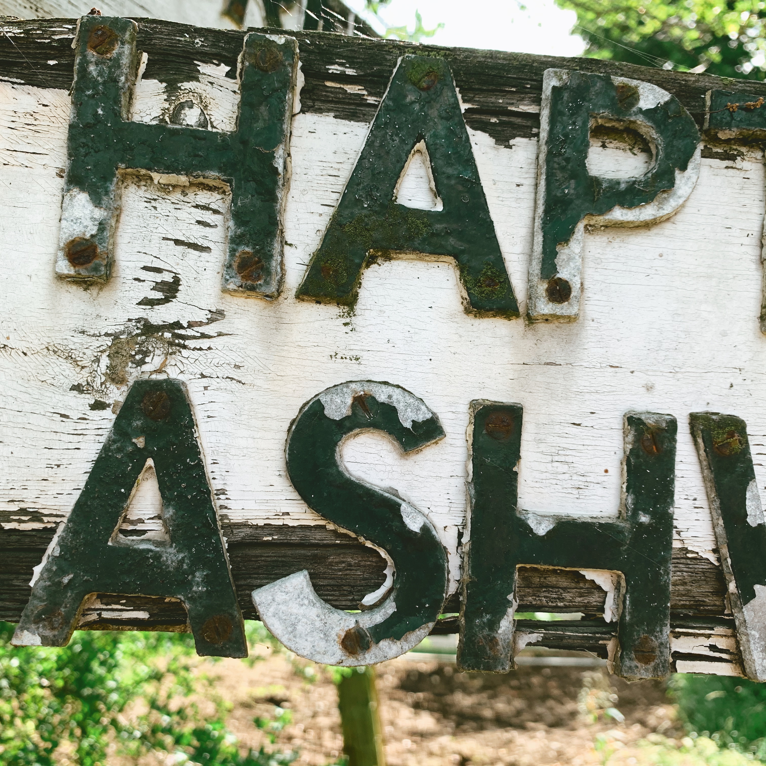 Created with RNI Films app. Preset 'Kodak Portra 160 v.2 Warm Fade'